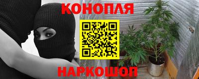 гашиш Сафоново