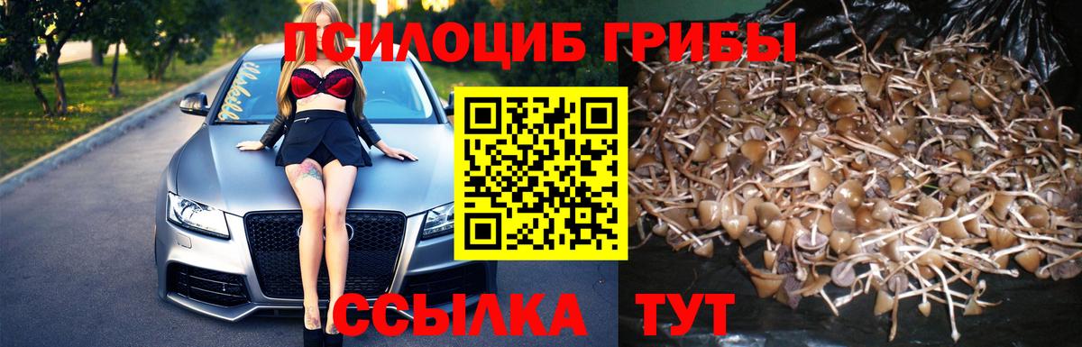 Псилоцибиновые грибы MAGIC MUSHROOMS  Вход с VPN  Дзержинский  Галлюциногенные грибы Psilocybe 
